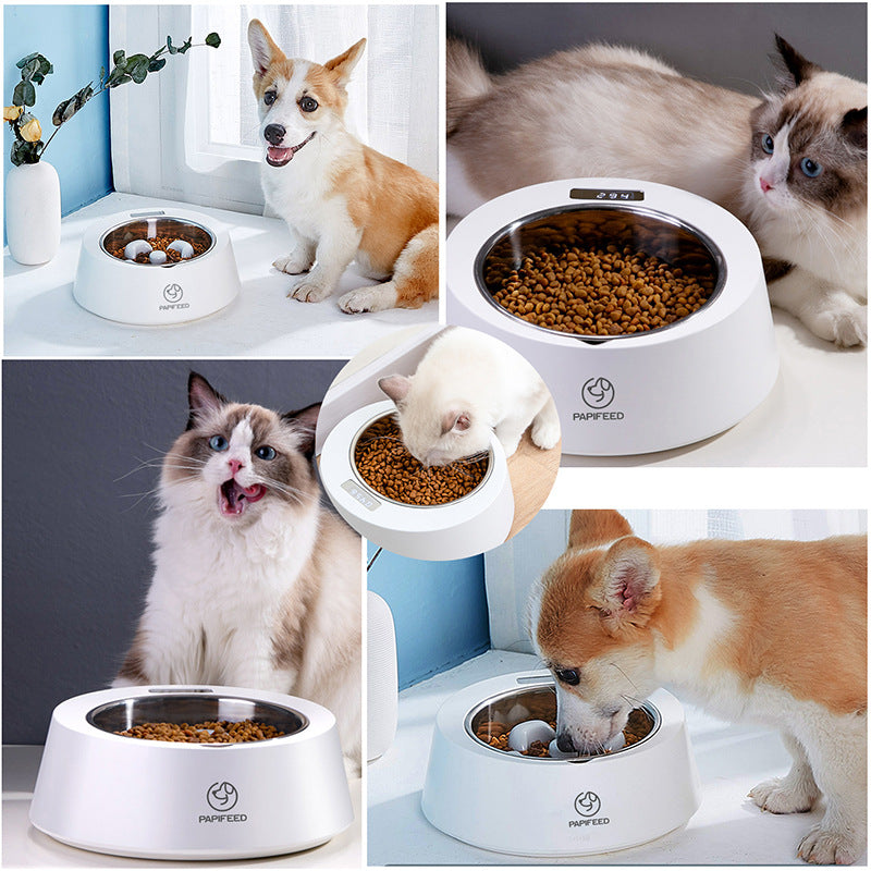 Slow Feed Bowl with Smart Weighing for Pets