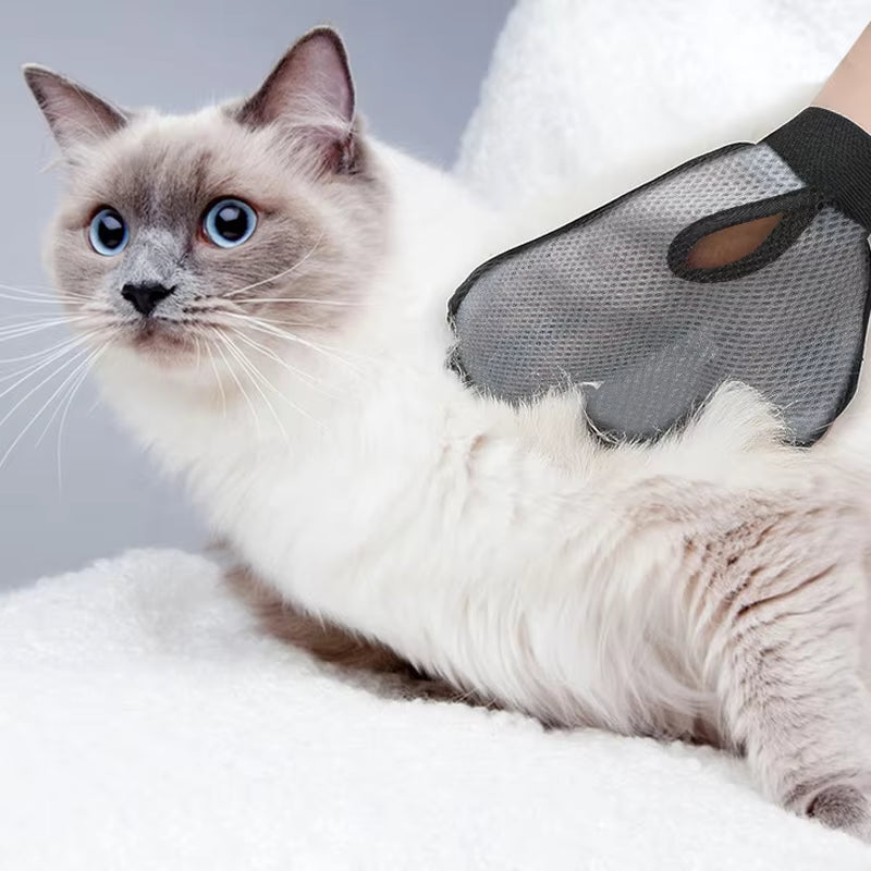 Gentle Pet Massage Glove for Clean, Happy Fur